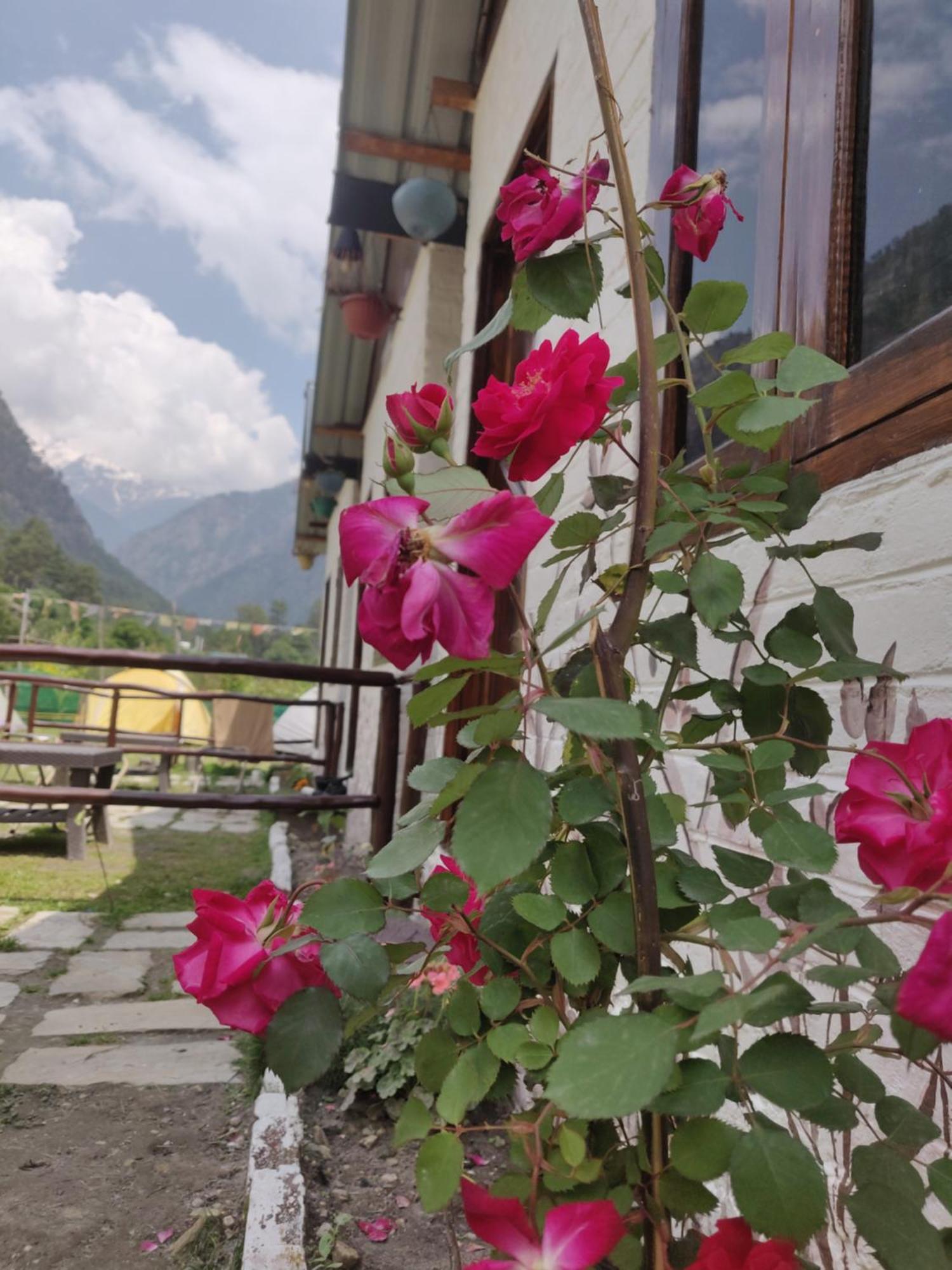 Himtrek Stays, Kasol Eksteriør billede